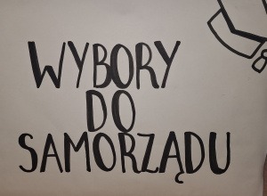 wybory